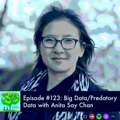 episode Big Data/Predatory Data with Anita Say Chan artwork