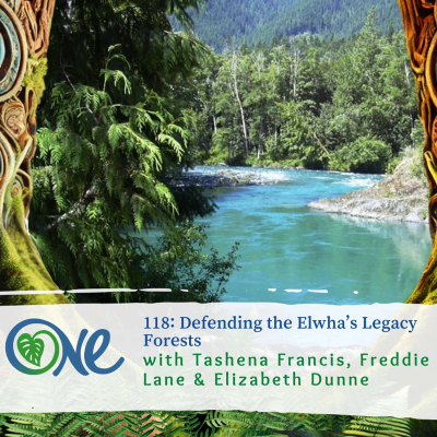 episode Defending the Elwha’s Legacy Forests with Tashena Francis, Freddie Lane & Elizabeth Dunne artwork