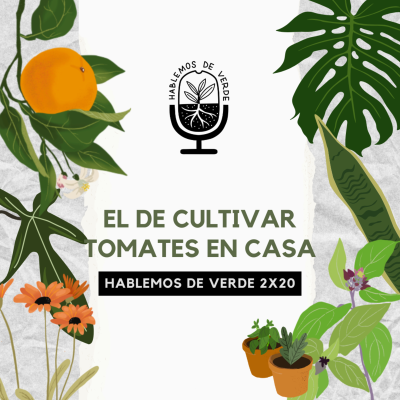 episode El de cultivar tomates en casa | 2x20 | Hablemos de verde artwork
