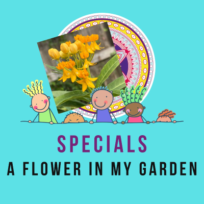 episode A flower in my garden - poem by Sachi artwork