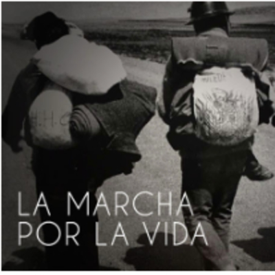 episode 21.La Marcha por la Vida artwork