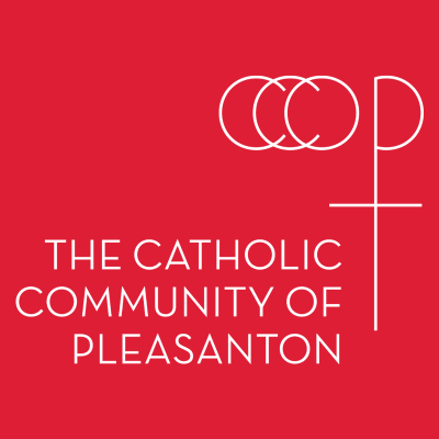 episode Fr. Ike Udoh: Homily - July 16, 2025 - Approach the Lord with Praise artwork
