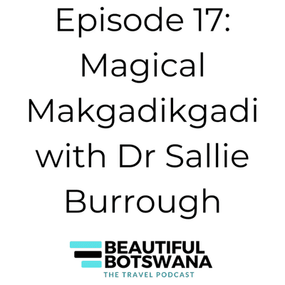 episode 17 - The Magic of Makgadikgadi with Dr Sallie Burrough artwork