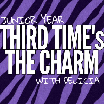 episode Third Time's The Charm: Miley artwork