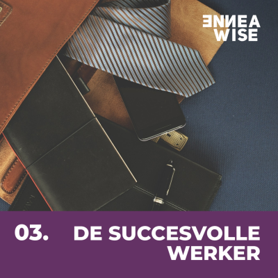 episode Type 3: De Succesvolle Werker artwork