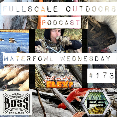 episode Waterfowl Wednesday #173 artwork