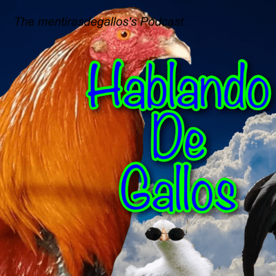 Mentiras De Gallo Show