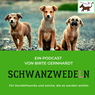 episode 100 Hunde - Parfüm, warum wälzen sich Hunde in Gestank? artwork