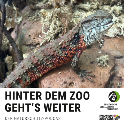 episode Vietnamazing: Zoos im Einsatz für Vietnams bedrohte Arten artwork