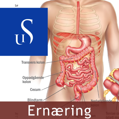 Ernæring – UiS podkast