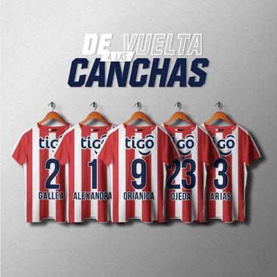 De vuelta a las canchas