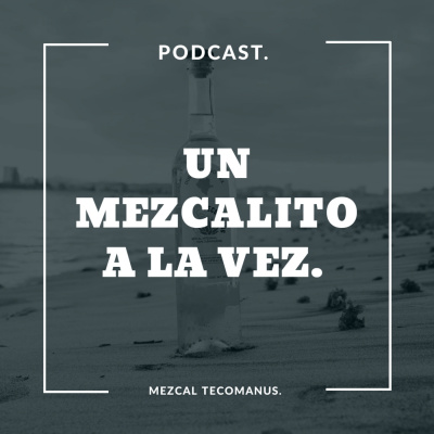 episode Raúl Medina 2 - Cuida tus signos vitales en el emprendimiento. artwork