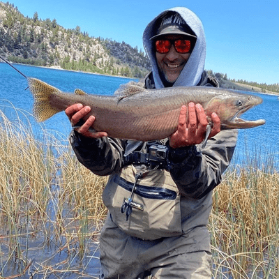episode Trout Fishing with Mike artwork