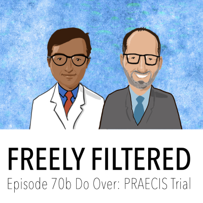 episode Episode 70b Do Over: Predicting Preeclampsia, the PRAECIS trial artwork