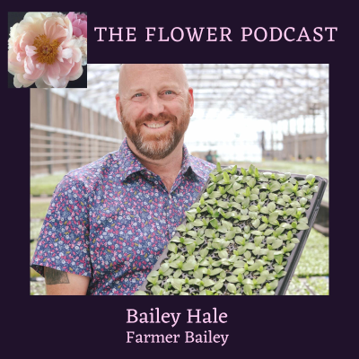 episode Bailey's Back: Flowers, Trends, and the Garden Club Plants Launch at Farmer Bailey artwork