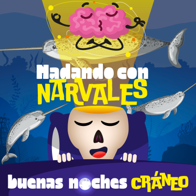 episode Nadando con Narvales (asombro) artwork
