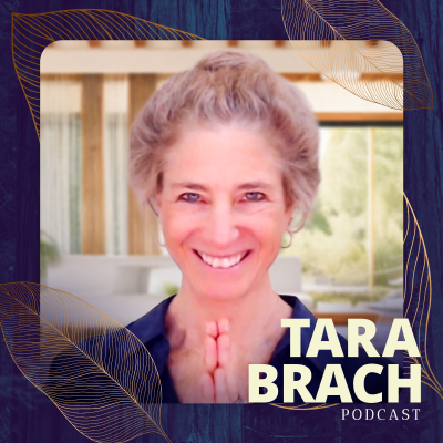 episode Part 2: Healing Depression with Meditation artwork