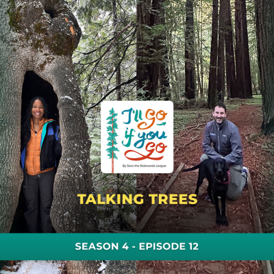 episode Talking Trees artwork