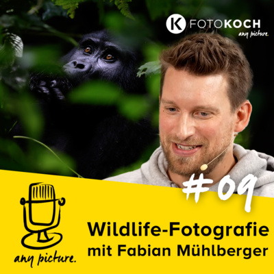 episode #09 Wildlife-Fotografie im Naturschutz - mit Fabian Mühlberger (Aufzeichnung unseres Livestreams) artwork