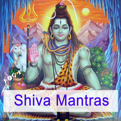 Who Is Hara Hara Mahadeva Shambo Shankara Shiva - Pitfalas