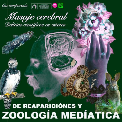 episode REAPARICIONES Y ZOOLOGÍA MEDIÁTICA artwork