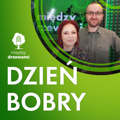episode Między Drzewami #105 Dzień bobry! [Michał Wieciech, Nadleśnictwo Niepołomice] artwork