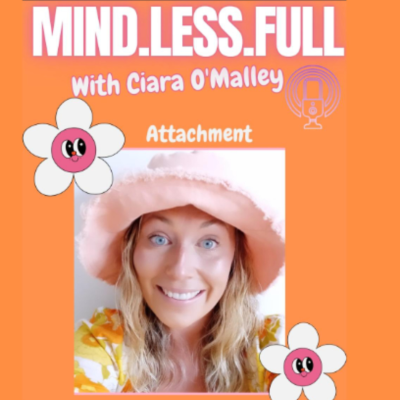 episode Attachment đ artwork