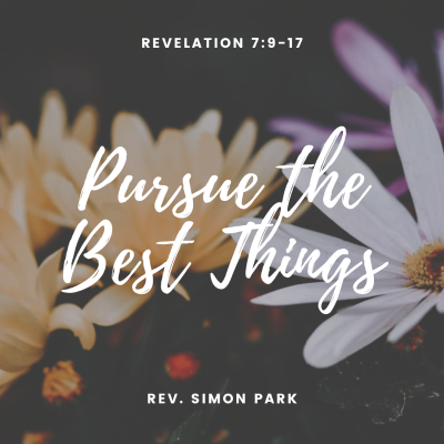 episode Pursue The Best Things artwork