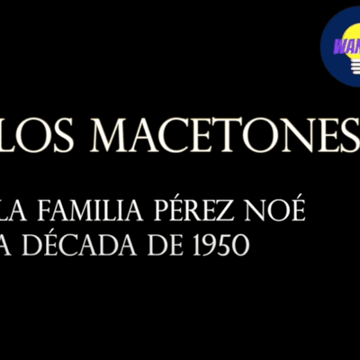 episode Casa de los Macetones #Wanaclip artwork