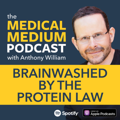 episode 113 Brainwashed By The Protein Law artwork