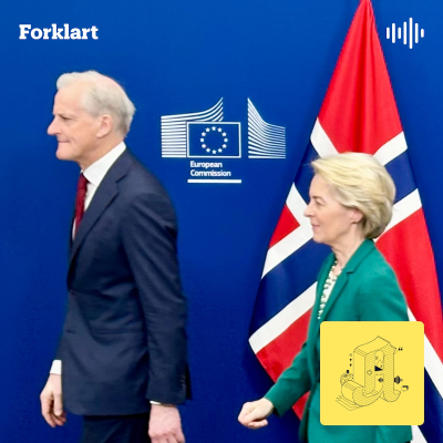 episode EU mot Norge: I 11 måneder kjempet diplomatene forgjeves artwork