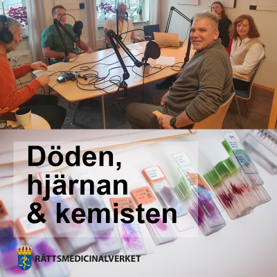 episode 20 år sedan tsunamin i Sydostasien år 2004 artwork