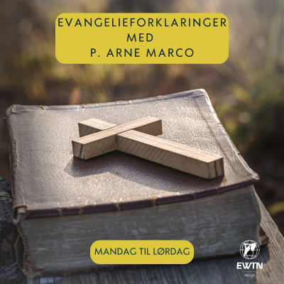 Cover image Evangelieforklaringer med pater Arne Marco