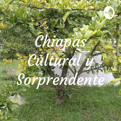 Chiapas Cultural y Sorprendente