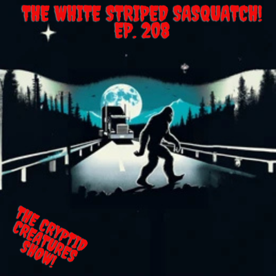 episode The White Striped Sasquatch! EP. 208 artwork