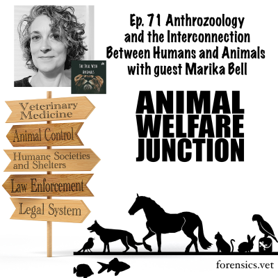 episode Anthrozoology and the Interconnection Between Humans and Animals with guest Marika Bell artwork