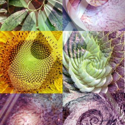 episode Fibonacci Sequence artwork