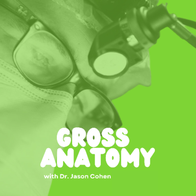 episode Wyle goes to Washington, an ice cream challenge and trendy surgery artwork