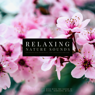 Ultimate Relaxing Nature Sounds with Relaxing Music for Meditation, Study, Mindfulness & Deep Sleep