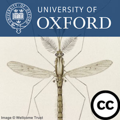 episode Forging a New Frontier in Oxford Medicine artwork