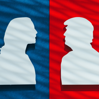 episode 24. Lessons from the 2024 Election Disaster artwork