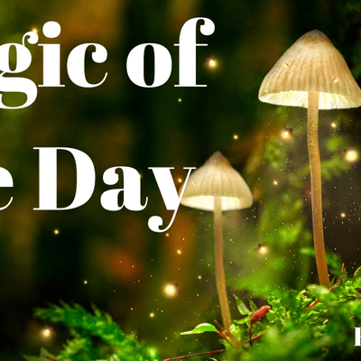 episode Nature Magic LIve! A discussion on sharing your unique medicine gift with the world artwork