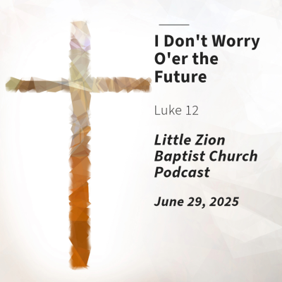 episode I Don't Worry O'er the Future | June 29, 2025 artwork