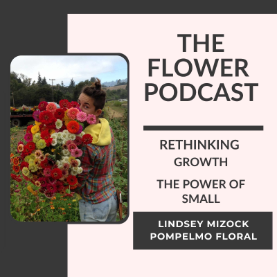 episode Rethinking Growth with Lindsey Mizock of Pompelmo Floral artwork