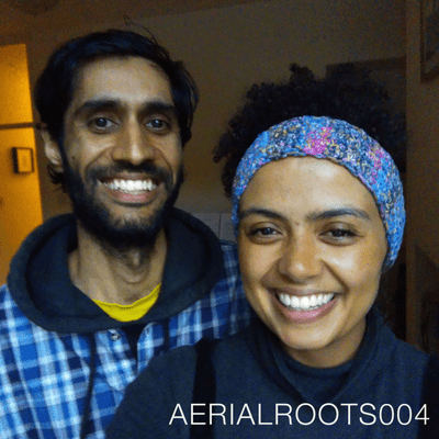 episode AERIALROOTS004 artwork