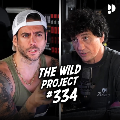 episode The Wild Project #334 - Jero García | Niños que pegan palizas a otros, La verdad de "Hermano Mayor" artwork