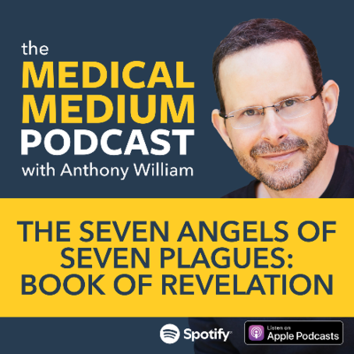 episode 120 The Seven Angels of Seven Plagues: Book of Revelation artwork