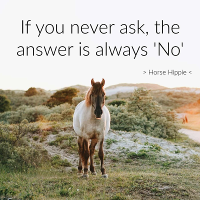 episode Why Not Just Ask? artwork