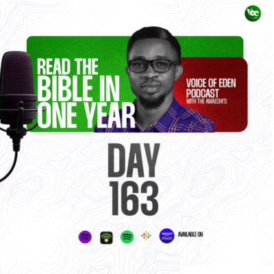 episode BIBLE IN ONE YEAR (DAY163) artwork