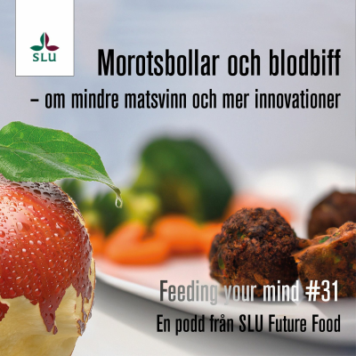 episode 31. Morotsbollar och blodbiff - om mindre matsvinn och mer innovationer artwork